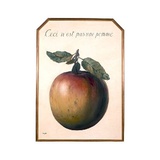 Dies ist kein Apfel, c.1964