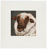 Tierköpfe - Schaf braun, c.2006