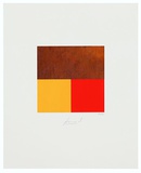 Rost & Gelb/Rot