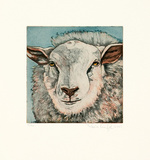 Tierköpfe - Schaf weiß, c.2006