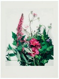 Strauss mit Hibiskus