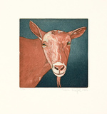 Tierköpfe - Ziege braun, c.2006
