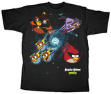 Buy Angry Birds Space - Solar System at AllPosters.com