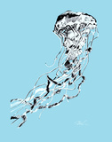 Buy Jellyfish at AllPosters.com