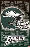 Philadelphia Eagles Logo Helmet