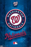 Washington Nationals Logo 2011