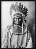 Buy Geronimo (1829-1909) at AllPosters.com