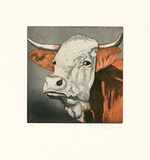 Tierköpfe - Kuh braun, c.2006