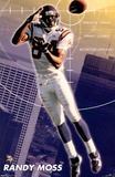 Minnesota Vikings Randy Moss