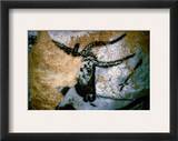 Bull: Lascaux, France