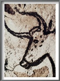 Cave Art: Lascaux
