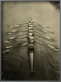Rowing Team, C1913
