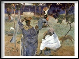 Gauguin: Martinique, 1887