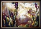 Iris Garden
