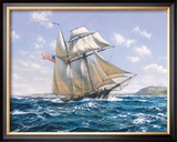 Lynx U.S. Privateer