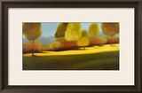 Buy Drifting Toward a Dream at AllPosters.com