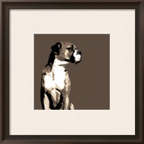 Boxer