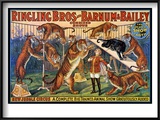 Circus Poster, 1920S