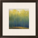 Deep Woods in Summer