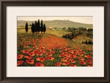 Hills of Tuscany I Framed Giclee Print