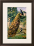 Buy Peacocks in the Park, 1886 at AllPosters.com