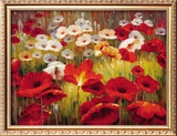 Buy Meadow Poppies II at AllPosters.com
