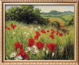 Buy Sunlit Meadow at AllPosters.com