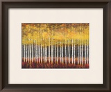 Buy Golden Aspens at AllPosters.com