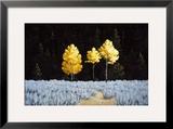 Three Sisters