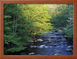 Elkmount Area, Great Smoky Mountains National Park, Tennessee, USA