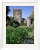 Blarney Castle, County Cork, Munster, Eire (Republic of Ireland)