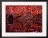 Buy Fall Colours Reflected in the River, Vermont, USA at AllPosters.com