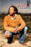 Ziggy Marley (Dragonfly) Music Poster Print