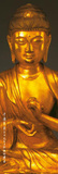 Buy Seated Buddha (Gold) Art Poster Print at AllPosters.com