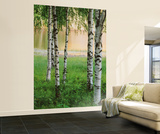 Nordic Forest Huge Wall Mural Art Print Poster