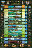 Eras of Life Geology Educational Science Chart Poster