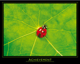 Ladybug (Achievement) Art Poster Print