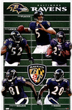 Baltimore Ravens Team Field Sports Poster Print
