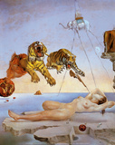 Dream Caused by the Flight of a Bee a Second Before Awakening