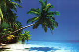 Maldives (Palm Tree Over Beach) Art Poster Print Poster