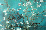 Vincent Van Gogh Turquoise Almond Branches in Bloom, San Remy Art Poster Print Poster