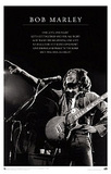 Bob Marley (One Love) Music Poster