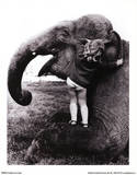 John Drysdale (An Elephant Never Forgets) Art Poster Print