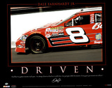 Dale Earnhardt Jr (Driven) Sports Poster Print