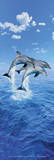 Steve Bloom (Three Dolphins, Door) Art Poster Print Door Poster
