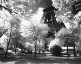 Afternoon in Paris (Eiffel Tower, Park)