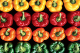 Buy Mixed Peppers (Bell Peppers) Photo Print Poster at AllPosters.com