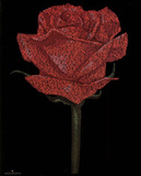 Red Rose (William Shakespeare Romeo & Juliet Script) Art Poster Print