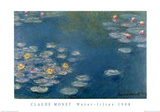 Waterlillies