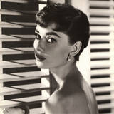 Audrey Hepburn Blinds